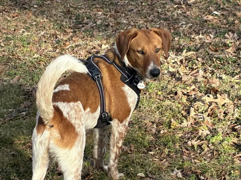 Sonny Jim thumbnail 2