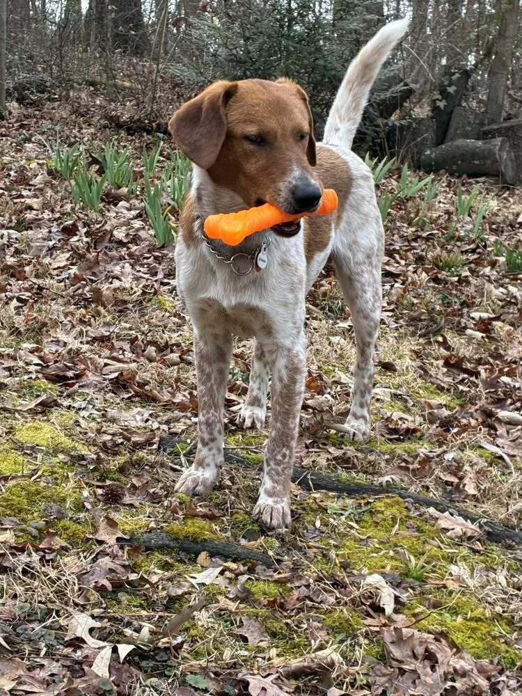 Sonny Jim thumbnail 5