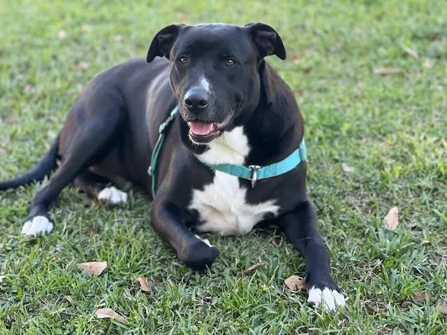 Preacher thumbnail 2