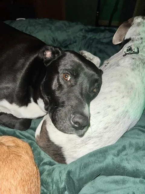 Preacher thumbnail 3