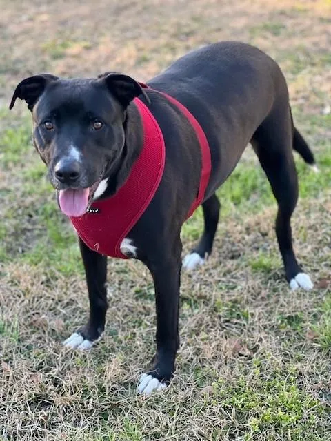 Preacher thumbnail 5