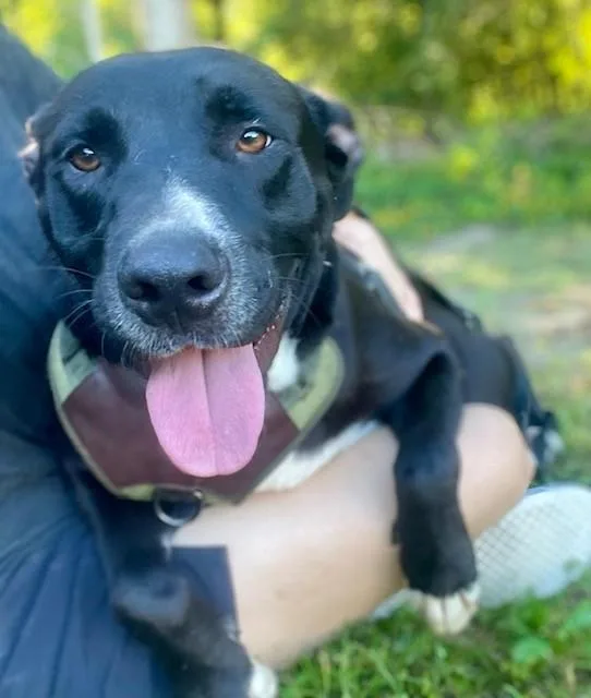 Preacher thumbnail 6