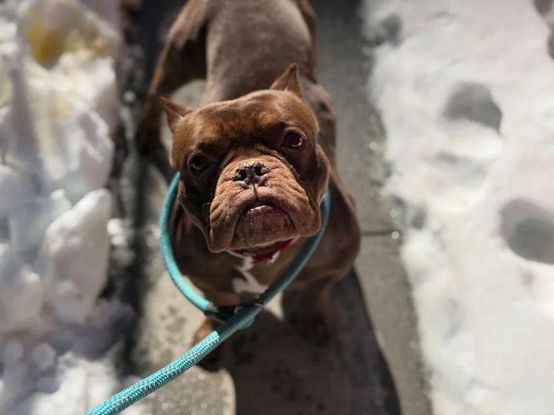 Smooches thumbnail 2