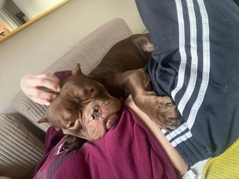 Smooches thumbnail 3