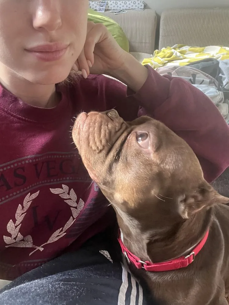 Smooches thumbnail 5