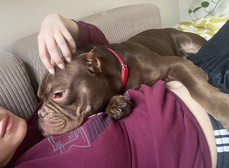 Smooches thumbnail 6