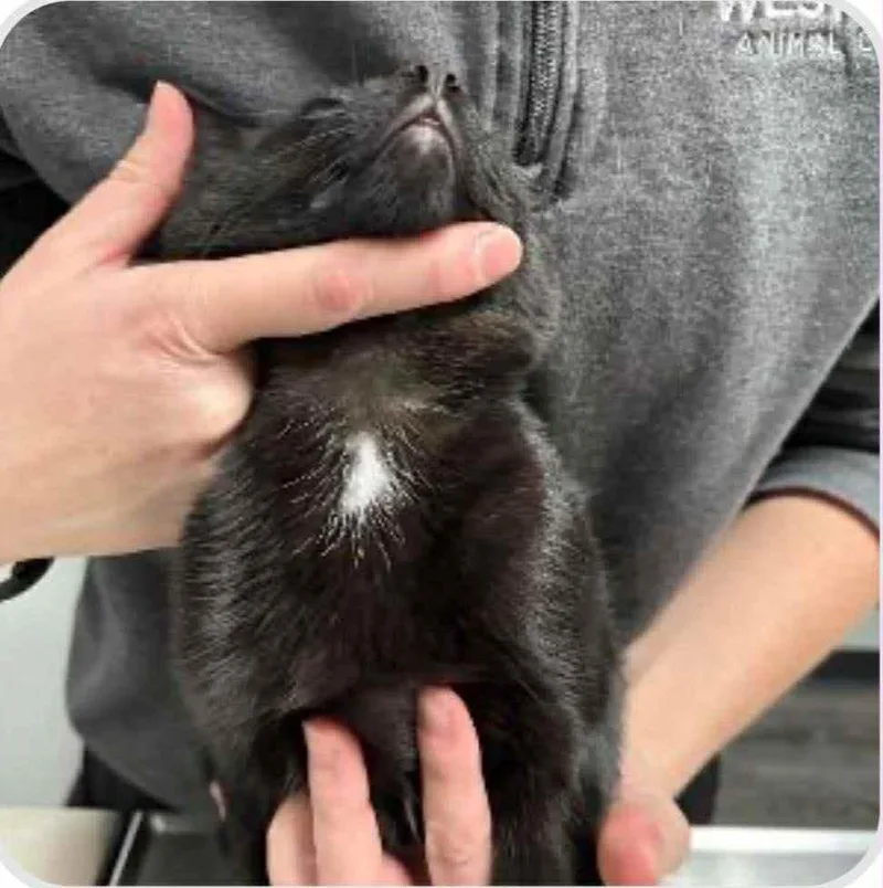 Crusty Ffc thumbnail 2