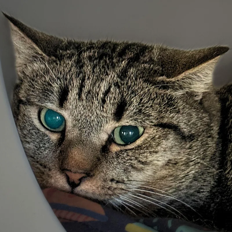 Blackburn thumbnail 2