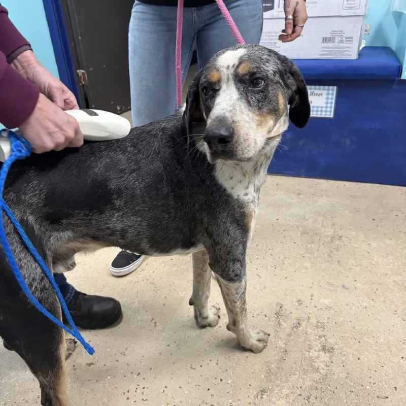 La Fayette thumbnail 2