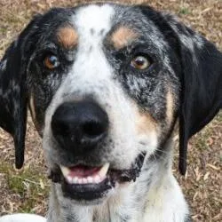 La Fayette thumbnail 3