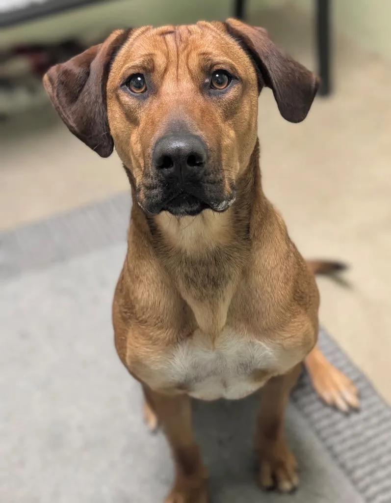 Champagne thumbnail 2