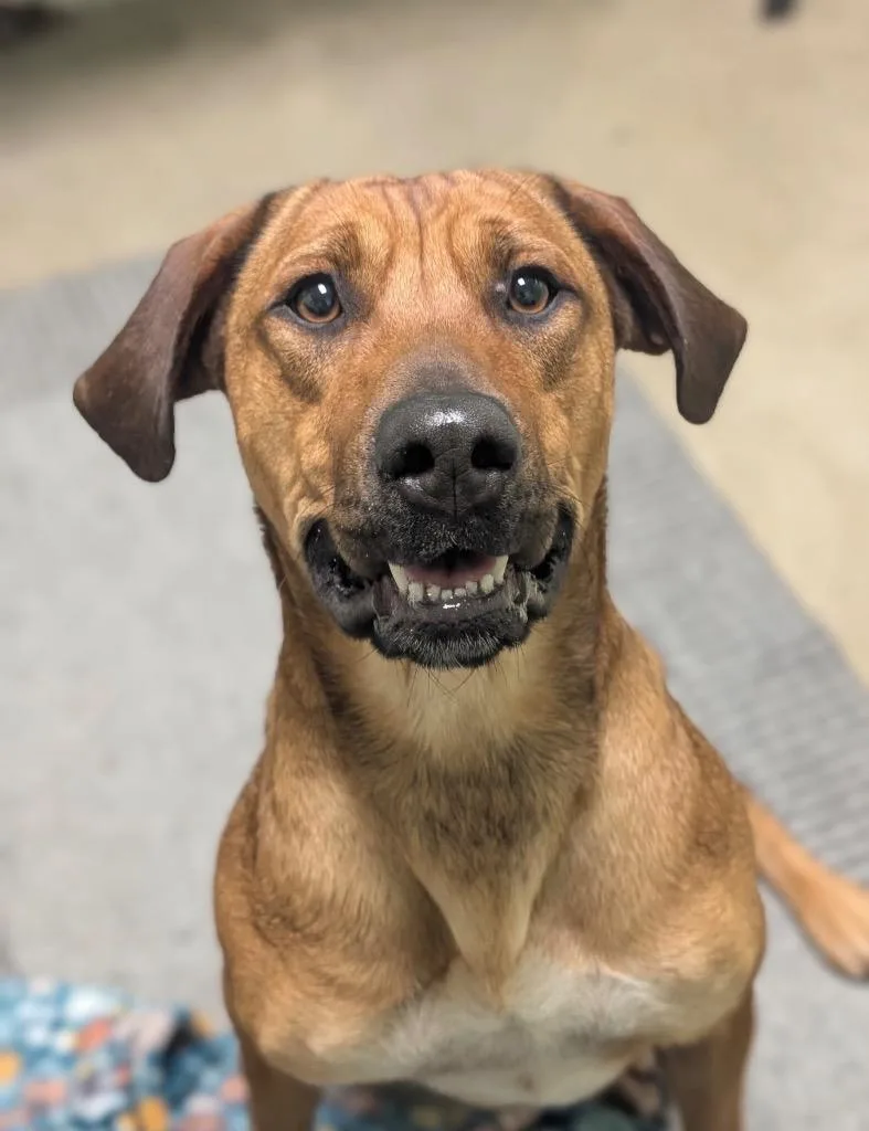 Champagne thumbnail 5