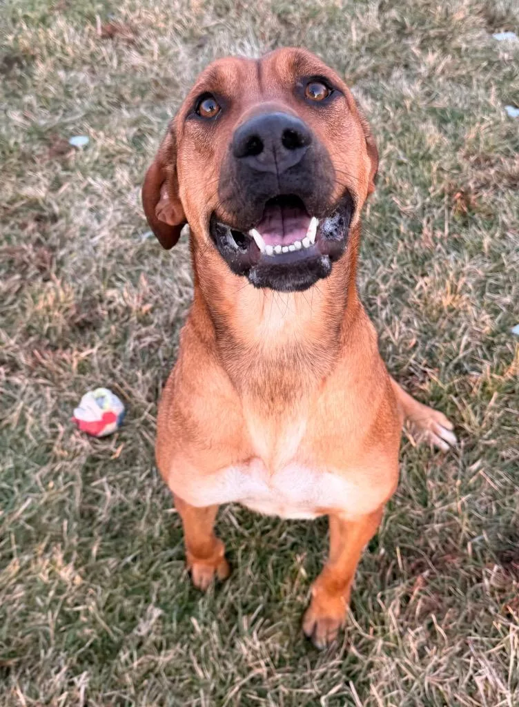 Champagne thumbnail 6