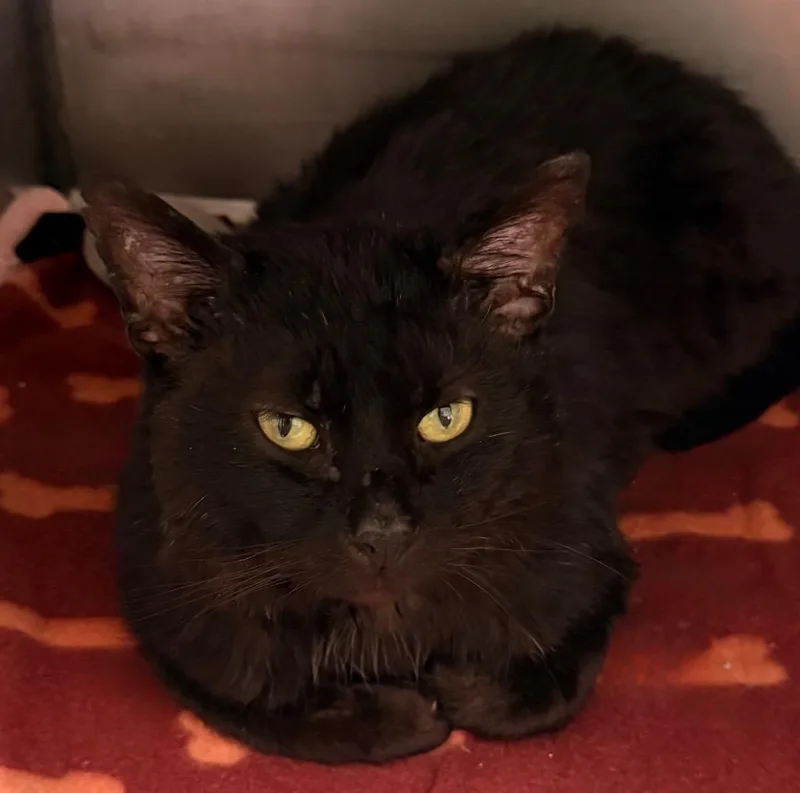 Heavy Machinery thumbnail 2