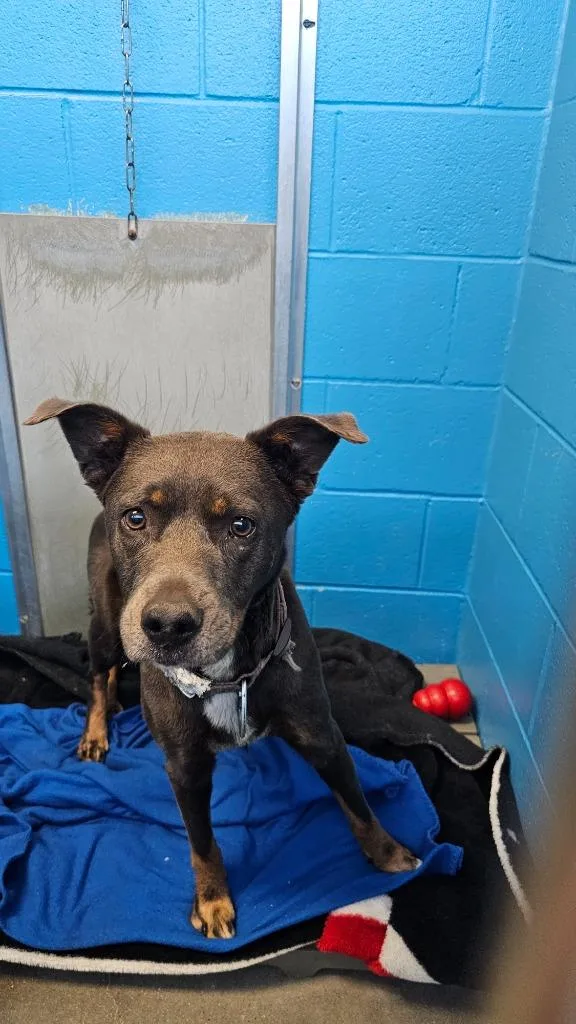 Wednesday thumbnail 2