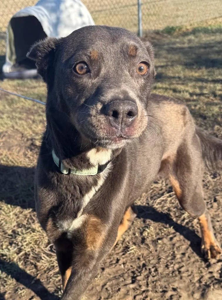 Wednesday thumbnail 3