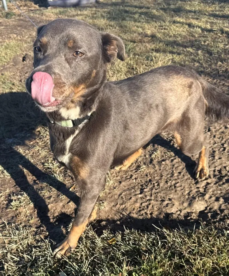 Wednesday thumbnail 6