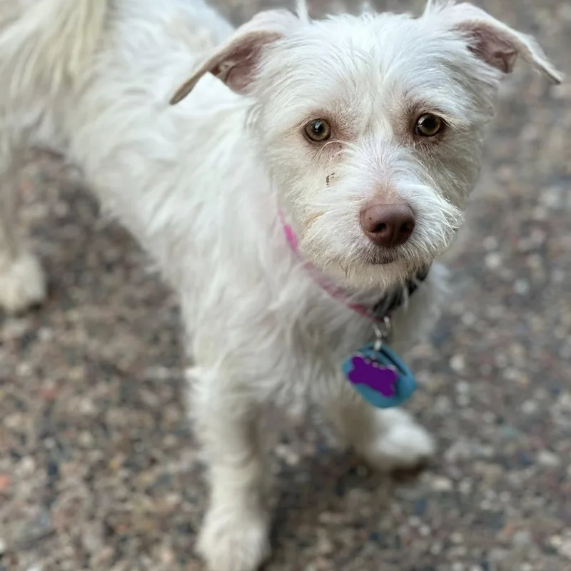 Juniper Jolene "juni" thumbnail 3