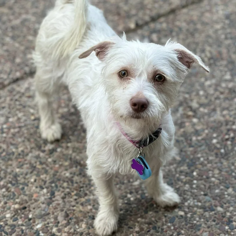 Juniper Jolene "juni" thumbnail 5