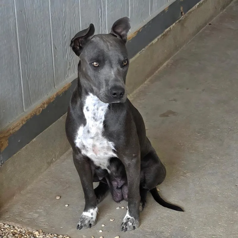 Skylar Ac thumbnail 2