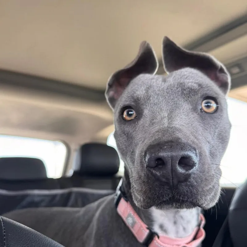 Skylar Ac thumbnail 3