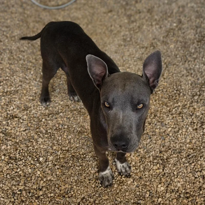 Skylar Ac thumbnail 4