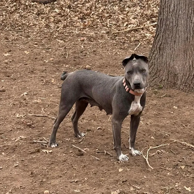 Skylar Ac thumbnail 5