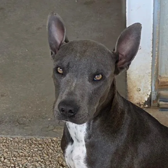 Skylar Ac thumbnail 6