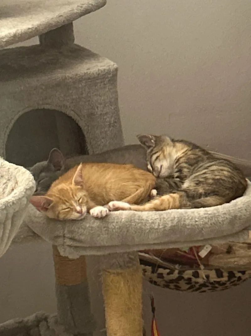 Cute Evan thumbnail 2