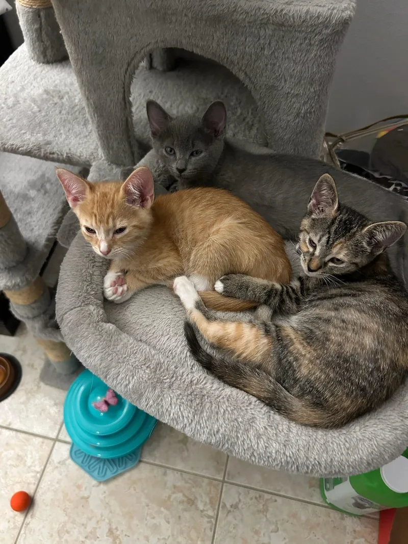 Cute Evan thumbnail 4