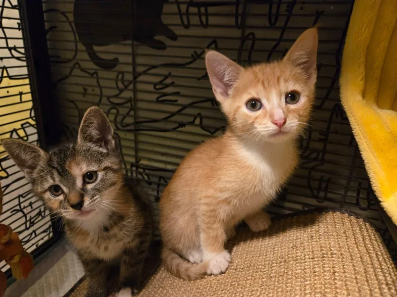 Cute Evan thumbnail 5