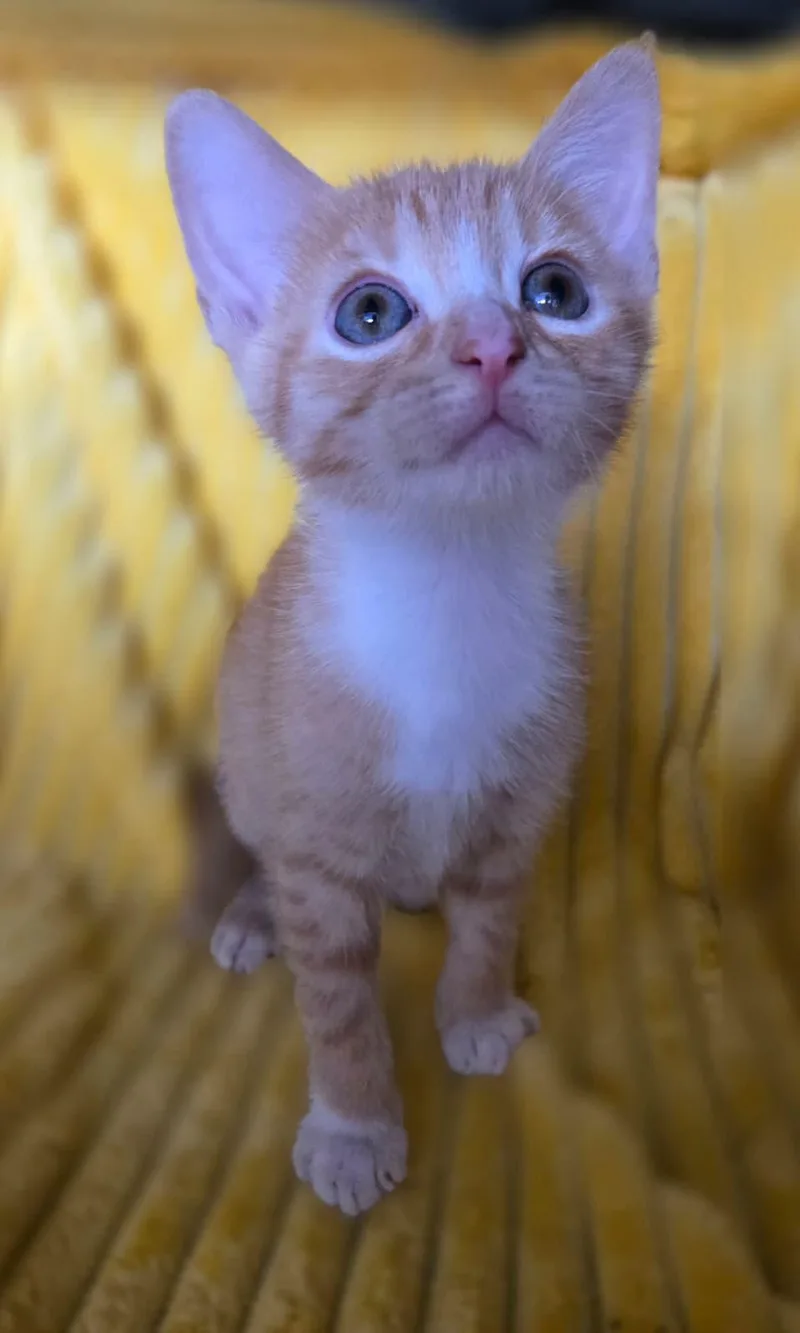 Cute Evan thumbnail 6