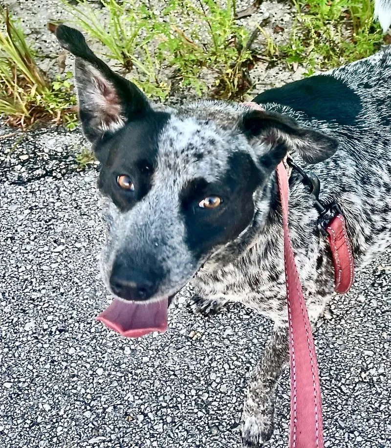 Jolene  Mama's Turn thumbnail 2