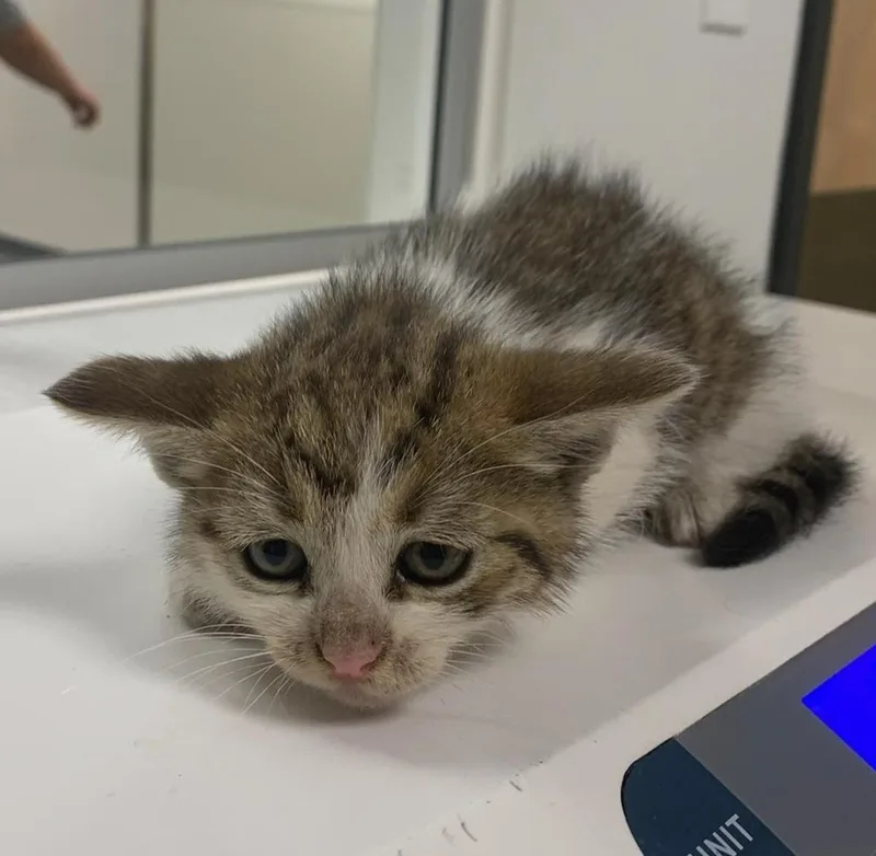 Maybelline thumbnail 2