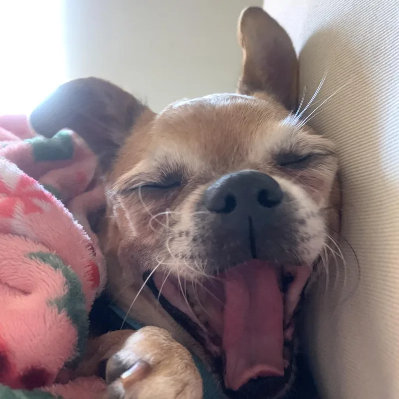 Cowboy Kelvin thumbnail 2