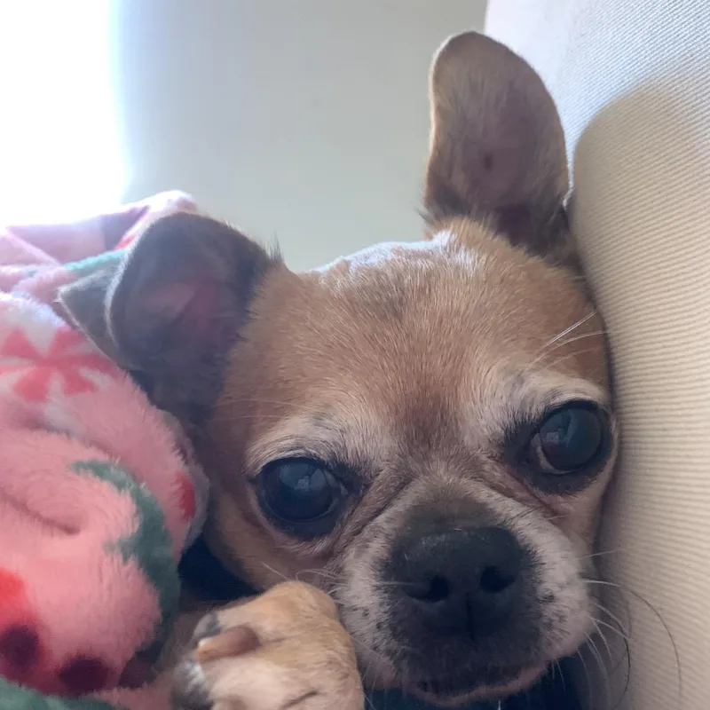 Cowboy Kelvin thumbnail 3