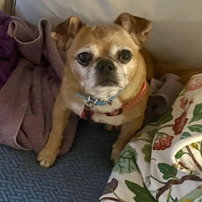 Cowboy Kelvin thumbnail 4