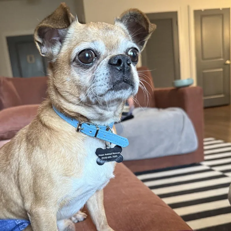 Cowboy Kelvin thumbnail 5