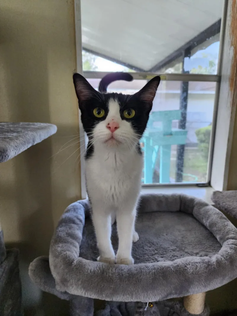 Jane Sponsored thumbnail 2