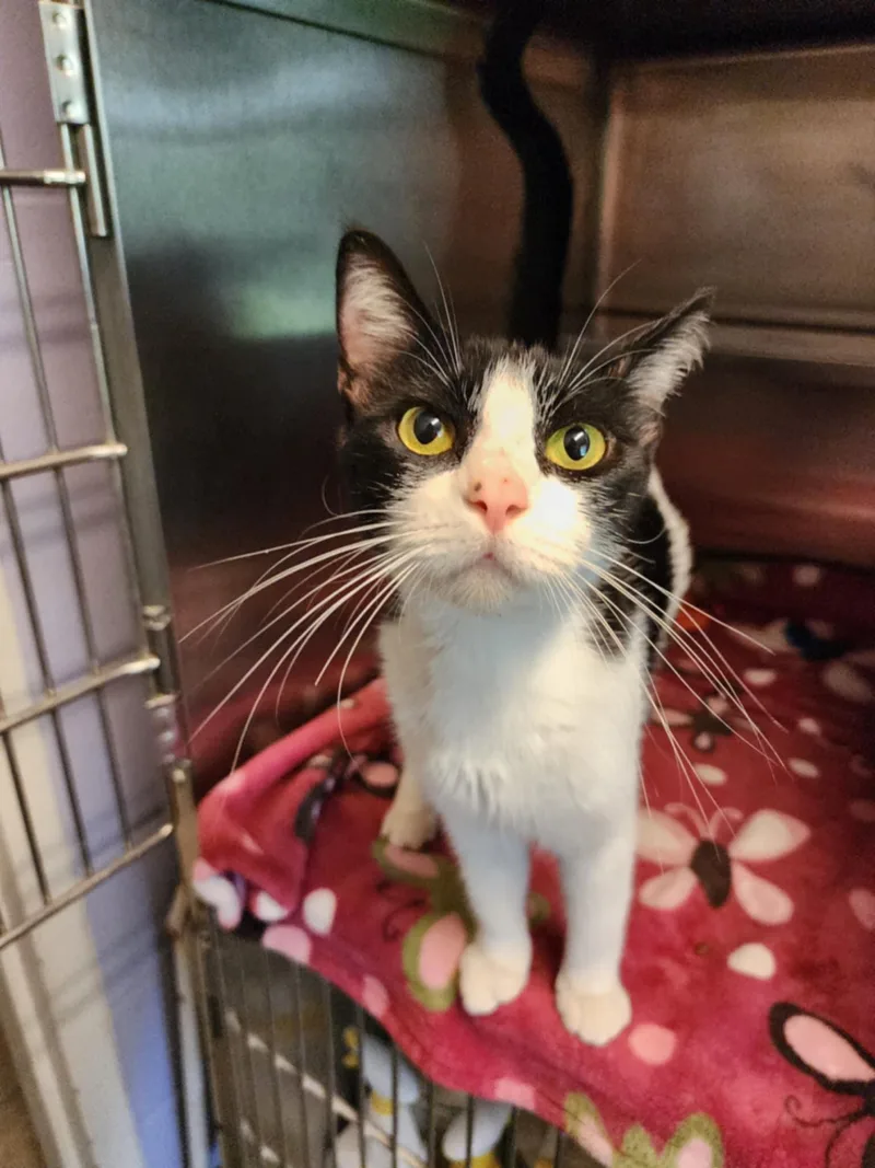 Jane Sponsored thumbnail 3