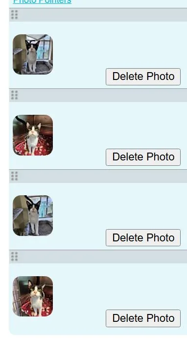 Jane Sponsored thumbnail 4