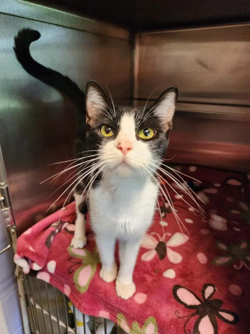 Jane Sponsored thumbnail 5