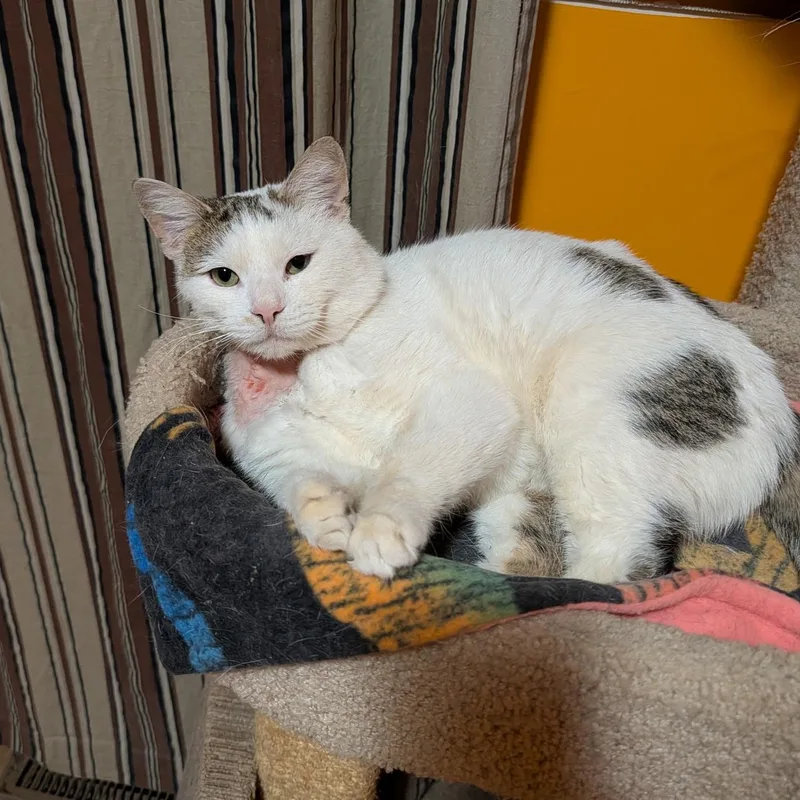 Frederick thumbnail 2