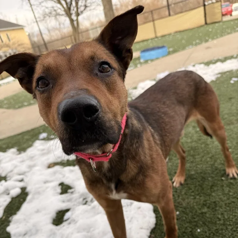 Mr. Sideways thumbnail 2