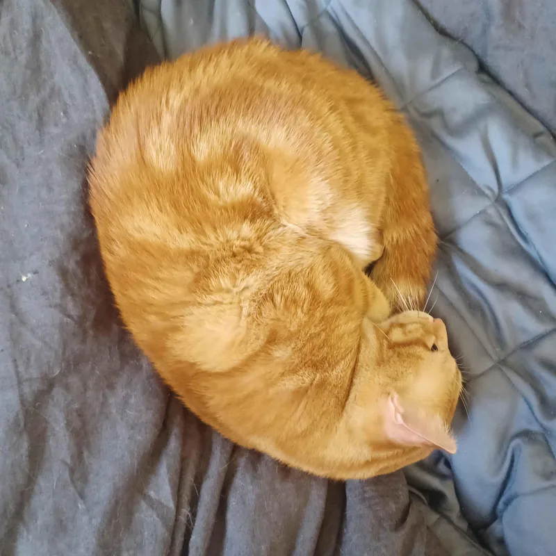 Push Pop thumbnail 4