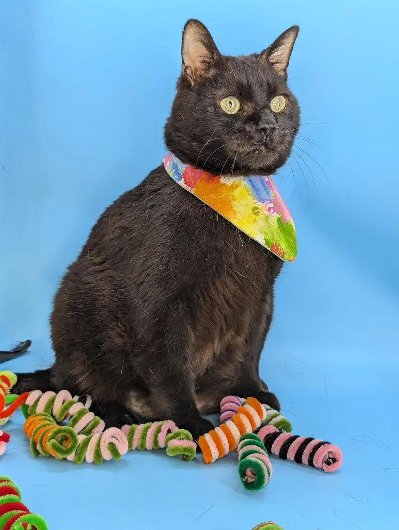 Fat Nick thumbnail 3