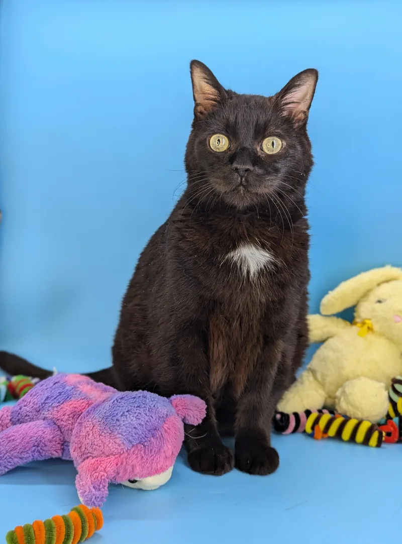 Fat Nick thumbnail 4