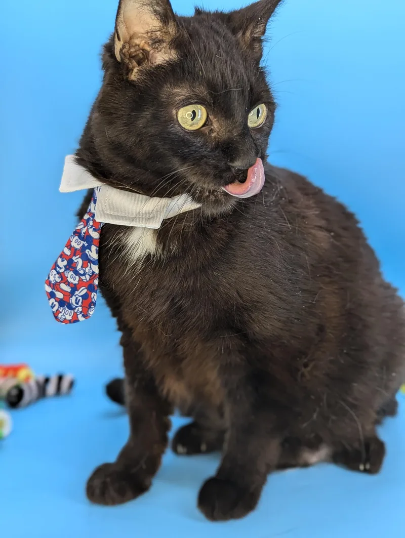 Fat Nick thumbnail 5