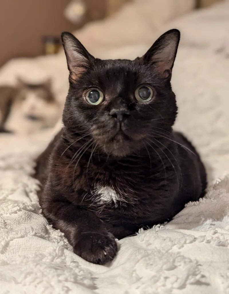 Fat Nick thumbnail 6