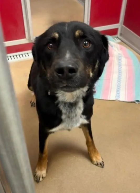 Finnagan thumbnail 2